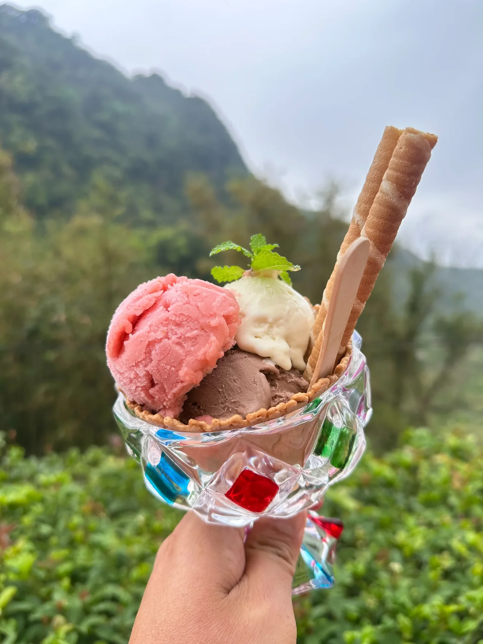 手捧三球水果冰淇淋與餅乾棒,背景是泰安山景