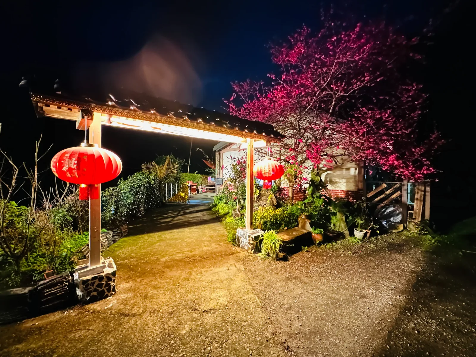 夜間亮著燈的伍貳居所入口與粉紅花樹